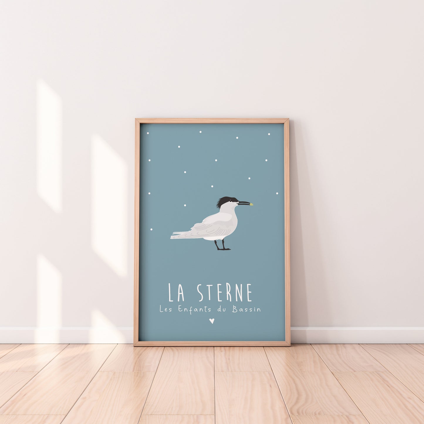 affiche oiseaux sterne bassin arcachon